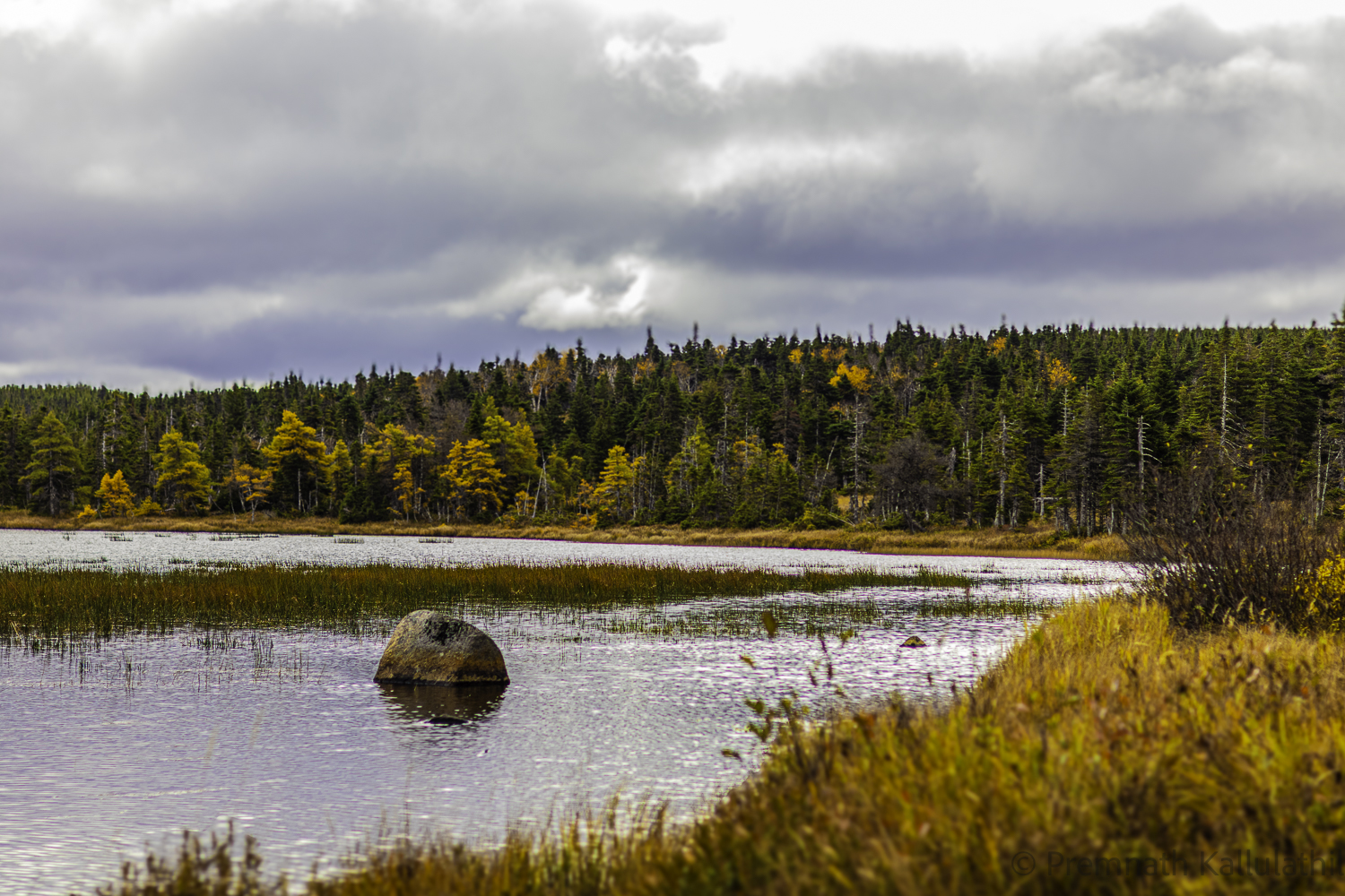 A Quiet Autumn — photograph 6