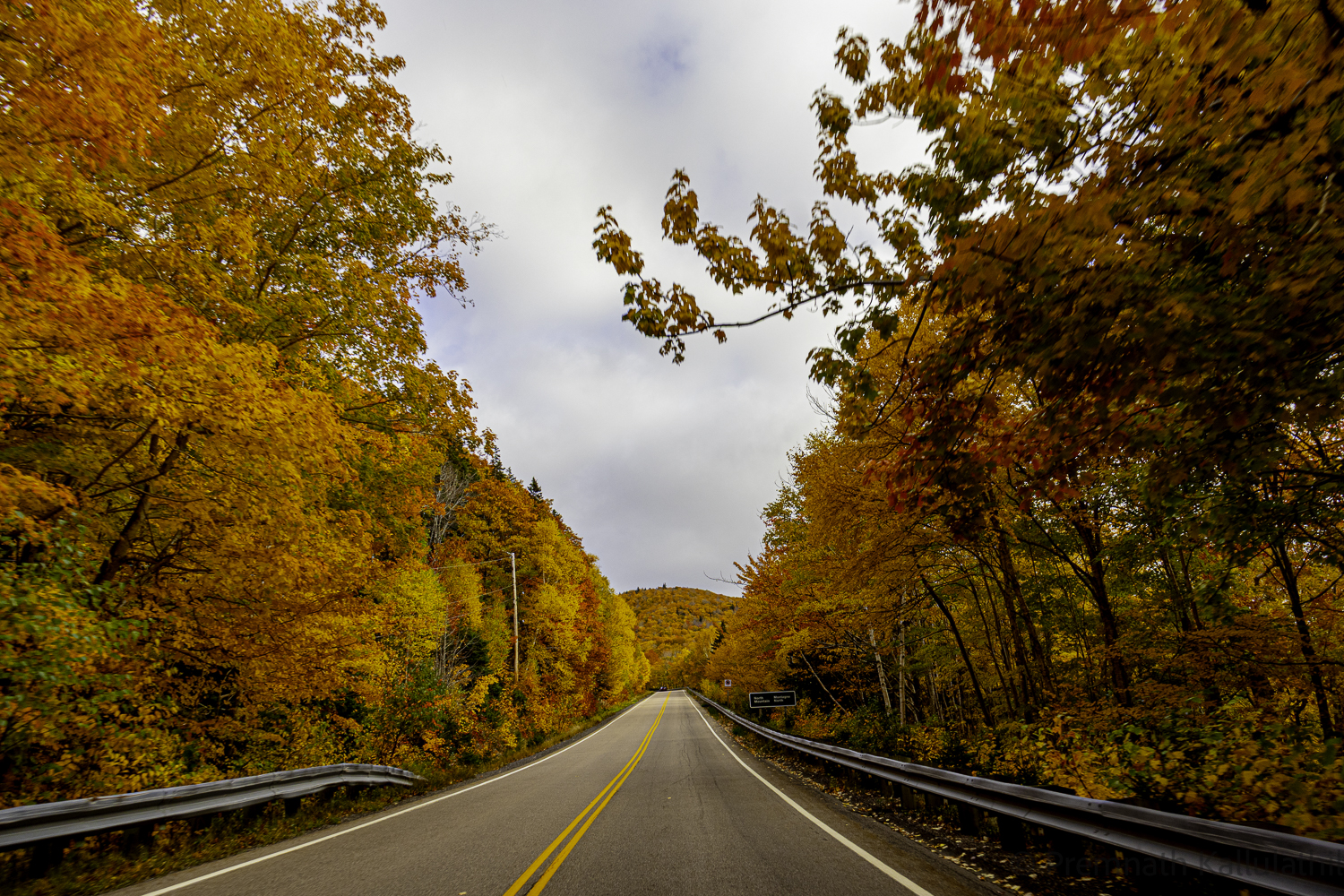 A Quiet Autumn — photograph 1