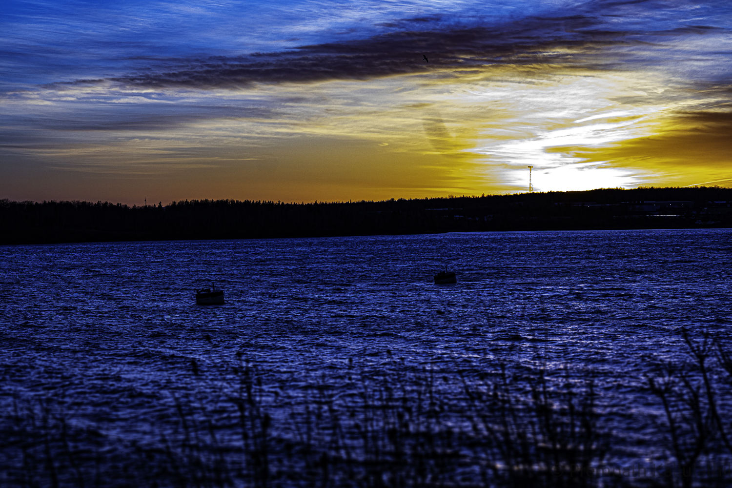 Cold Harbour — photograph 2