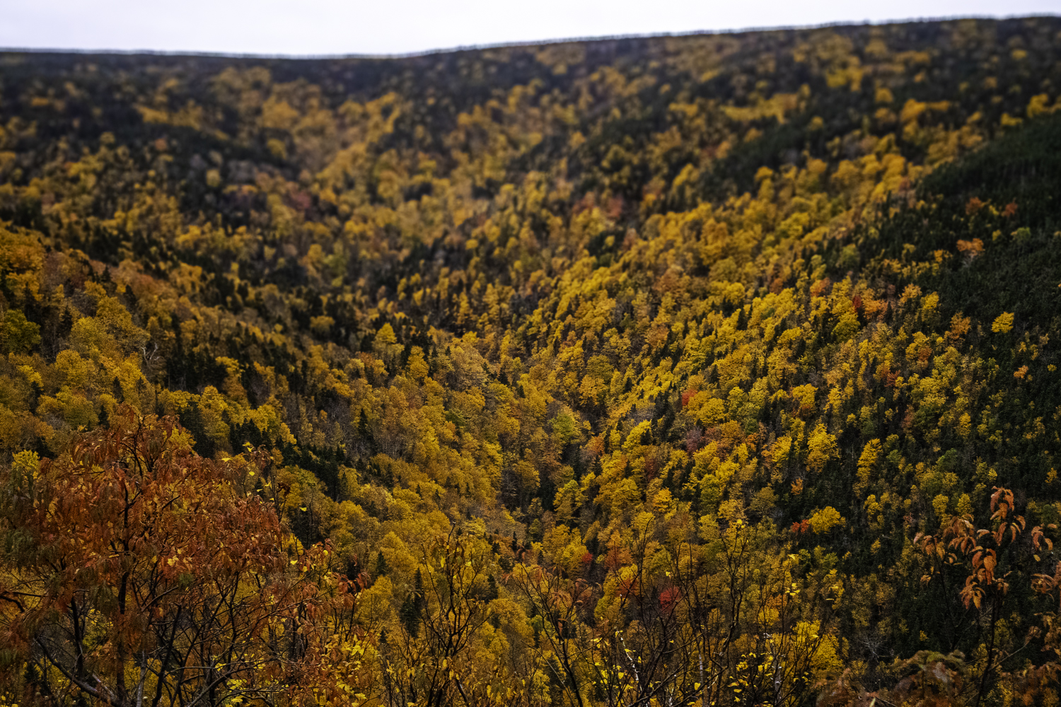 A Quiet Autumn — photograph 4