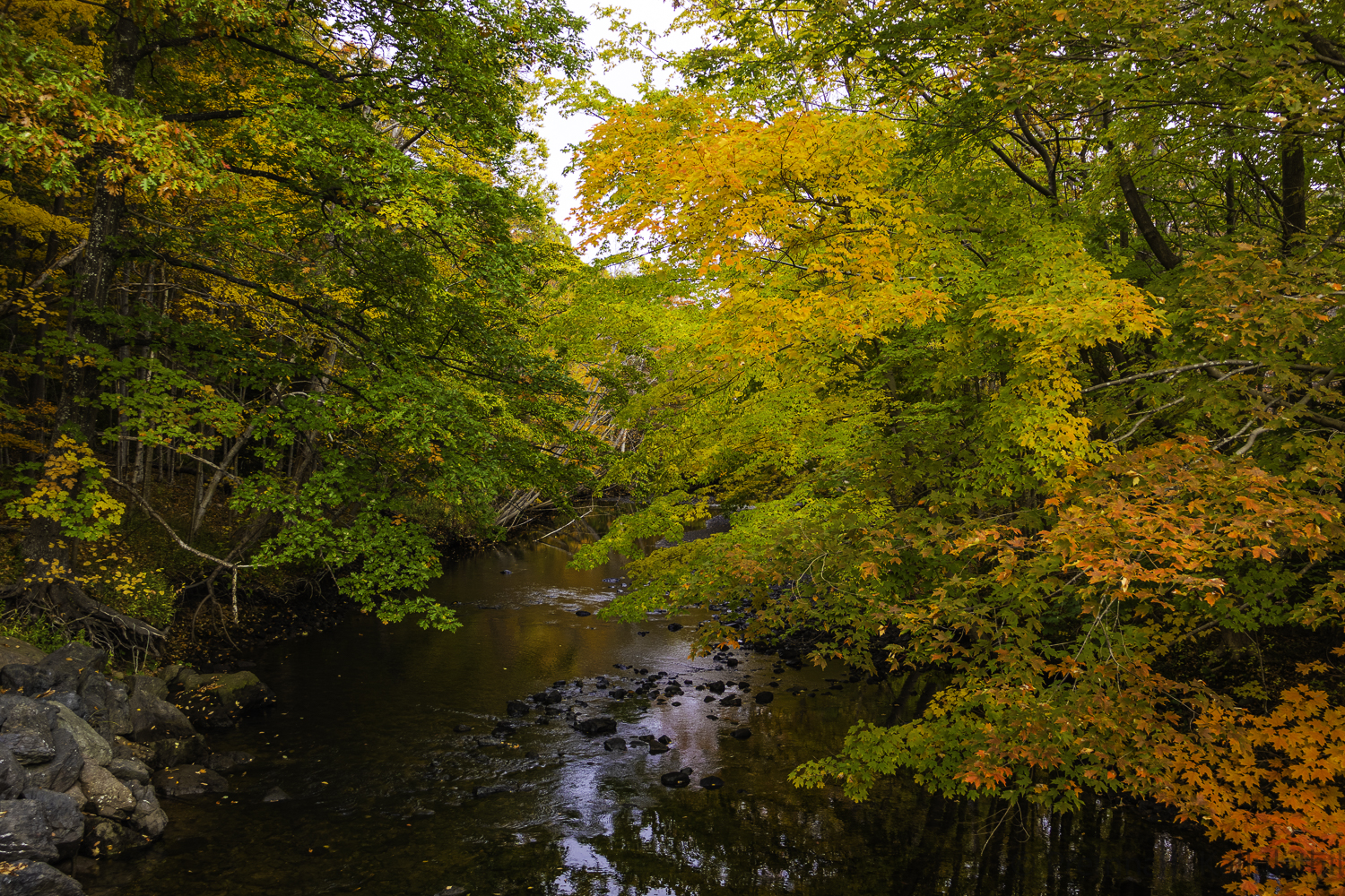 A Quiet Autumn — photograph 3