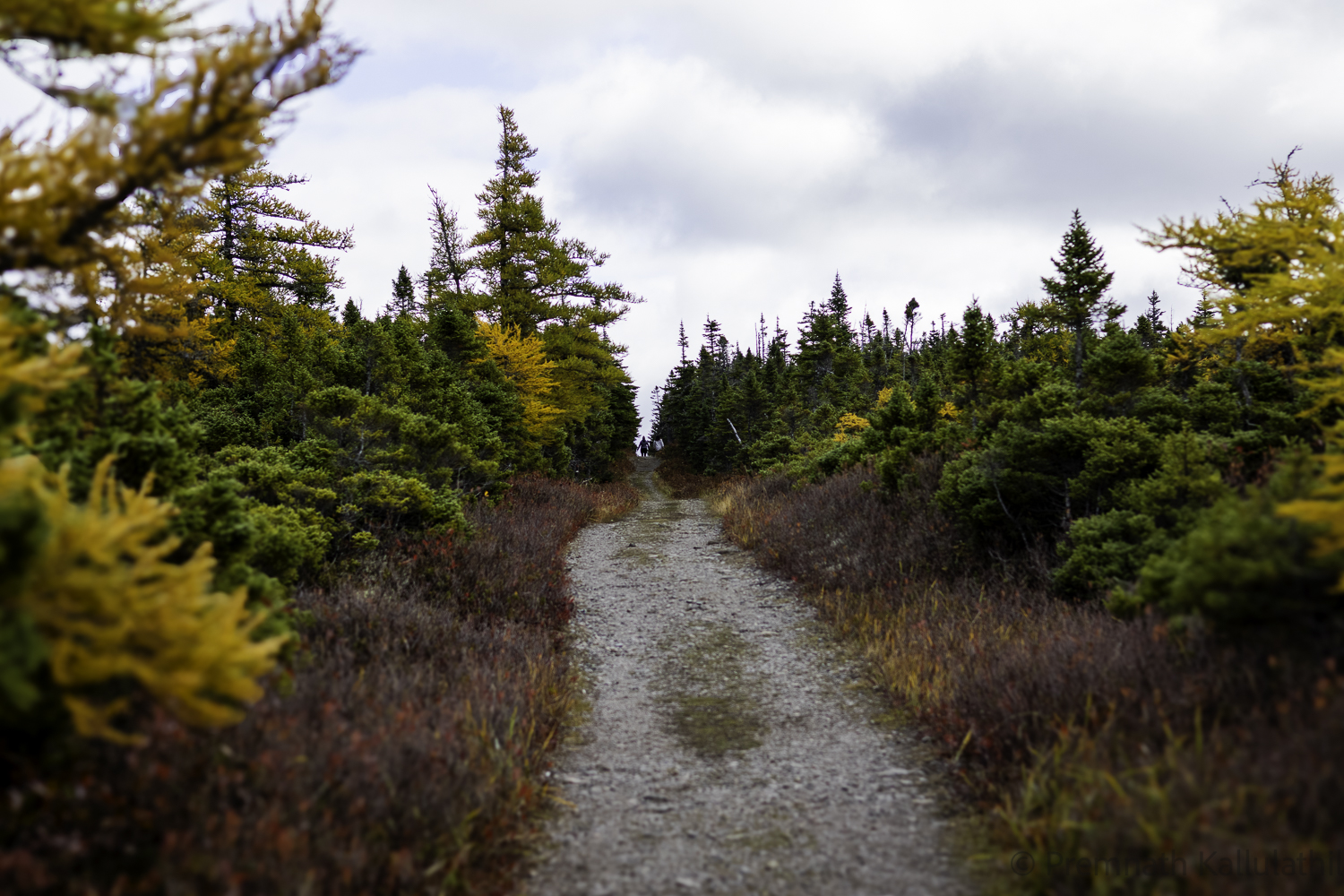 A Quiet Autumn — photograph 5